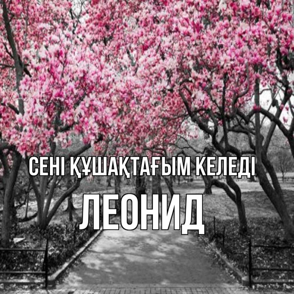Күн сайын ашық хат с именем, Леонид сені құшақтағым келеді обработанное фото Онлайн тегін жүктеп алу тілектері бар керемет карта 