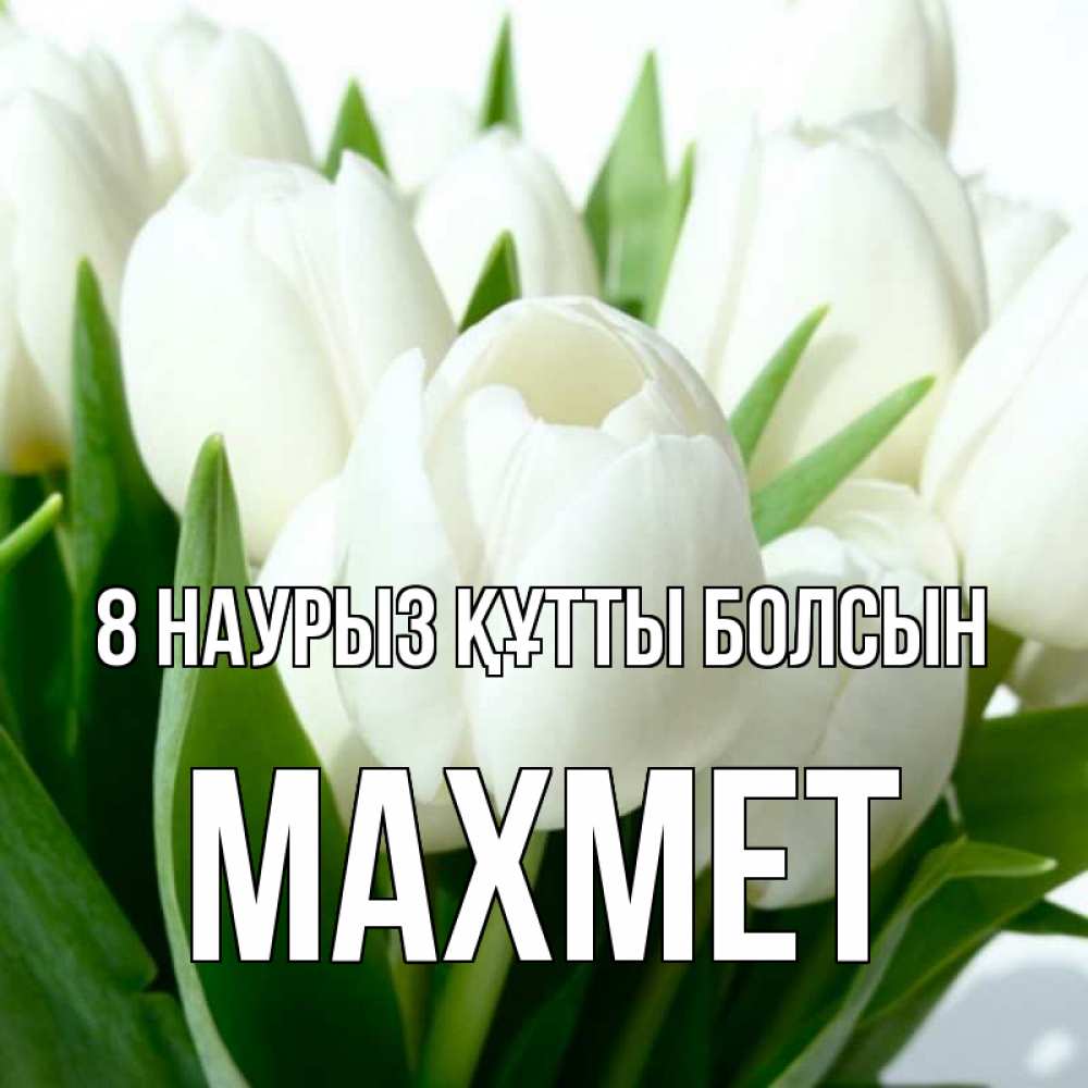 Күн сайын ашық хат с именем, МАХМЕТ 8 наурыз құтты болсын цветы Онлайн тегін жүктеп алу тілектері бар керемет карта 