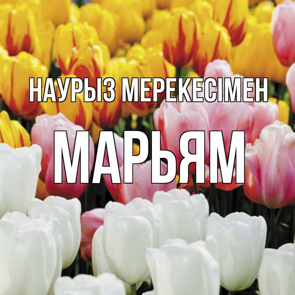 Күн сайын ашық хат с именем, Марьям Наурыз мерекесімен разноцветные цветы Онлайн тегін жүктеп алу тілектері бар керемет карта 