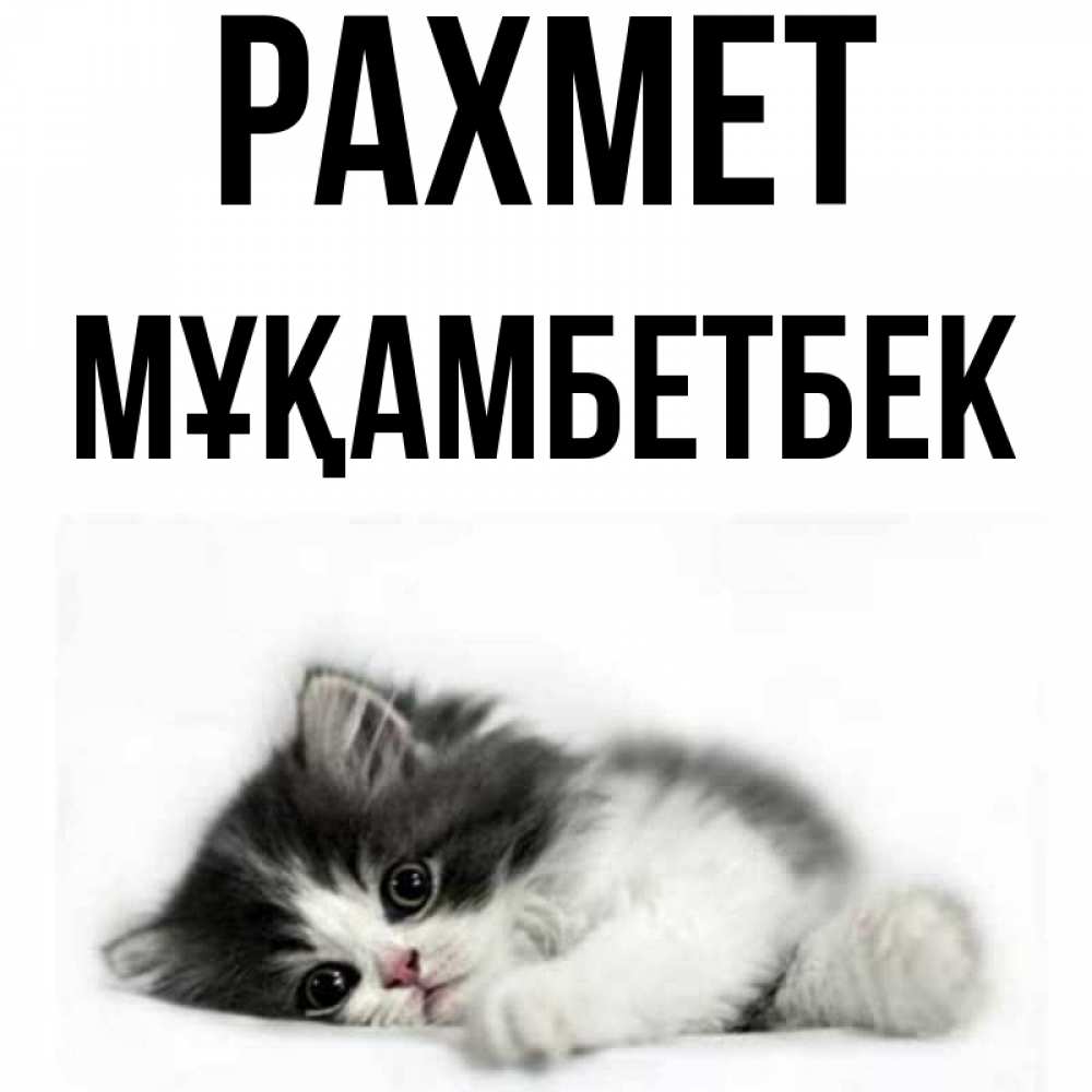 Күн сайын ашық хат с именем, Мұқамбетбек рахмет черный и белый кот Онлайн тегін жүктеп алу тілектері бар керемет карта 