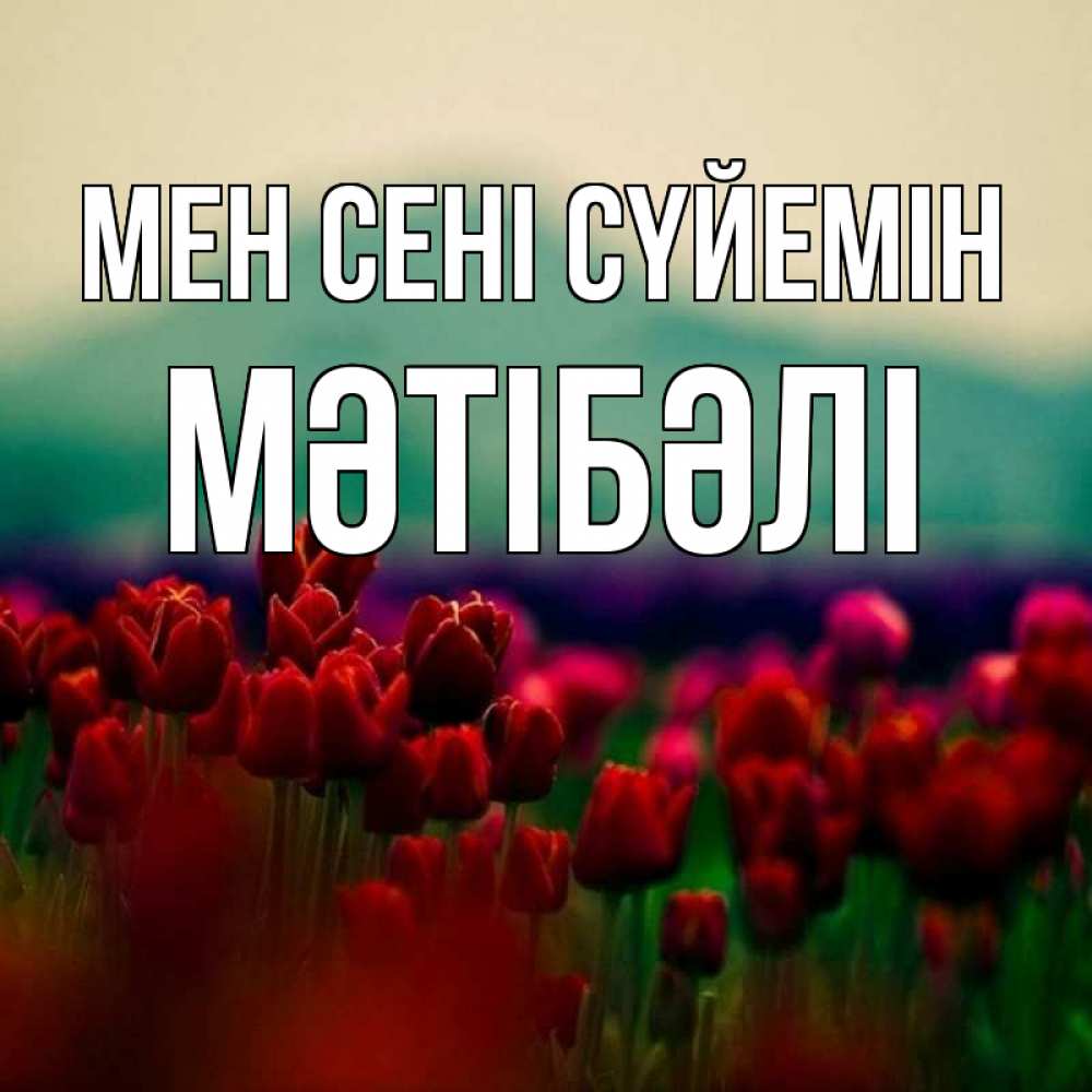 Күн сайын ашық хат с именем, МӘТІБӘЛІ Мен сені сүйемін тюльпаны 4 Онлайн тегін жүктеп алу тілектері бар керемет карта 