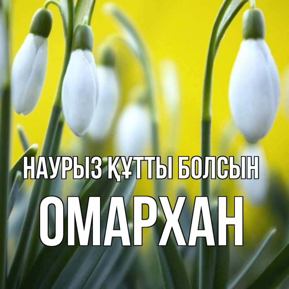 Күн сайын ашық хат с именем, ОМАРХАН Наурыз құтты болсын весенние цветы Онлайн тегін жүктеп алу тілектері бар керемет карта 
