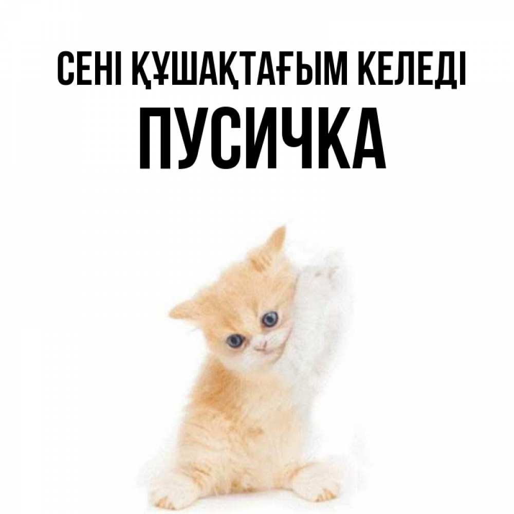 Күн сайын ашық хат с именем, Пусичка сені құшақтағым келеді я хочу очень скорее обнимаешек Онлайн тегін жүктеп алу тілектері бар керемет карта 