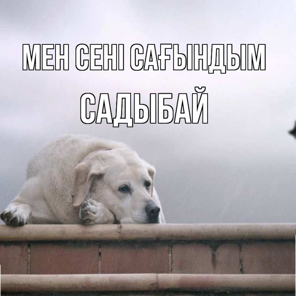 Күн сайын ашық хат с именем, САДЫБАЙ Мен сені сағындым ждет Онлайн тегін жүктеп алу тілектері бар керемет карта 