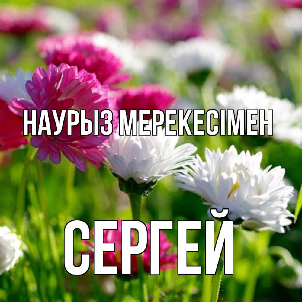 Күн сайын ашық хат с именем, Сергей Наурыз мерекесімен праздник весны наурыз красота Онлайн тегін жүктеп алу тілектері бар керемет карта 