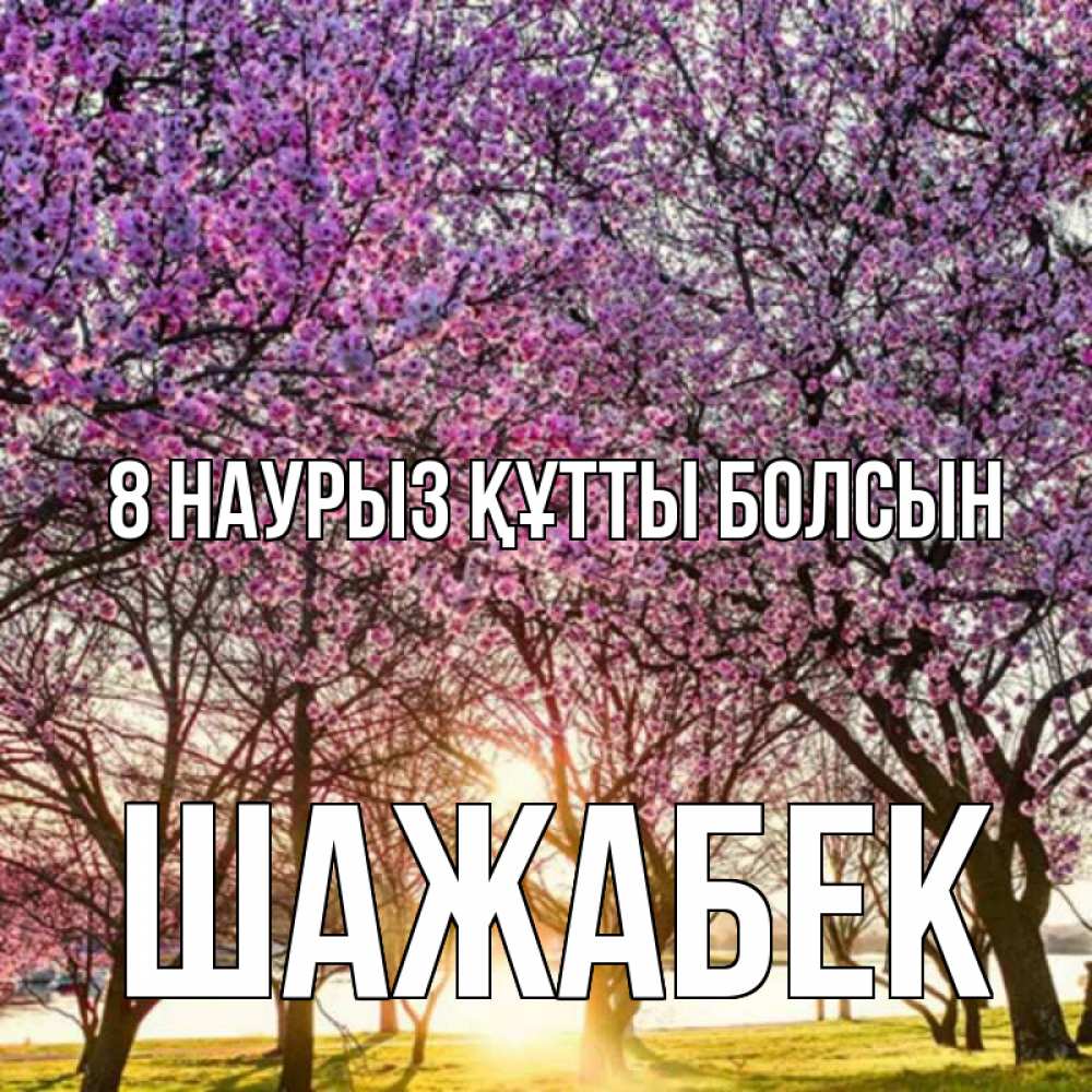 Күн сайын ашық хат с именем, ШАЖАБЕК 8 наурыз құтты болсын международный женский день Онлайн тегін жүктеп алу тілектері бар керемет карта 