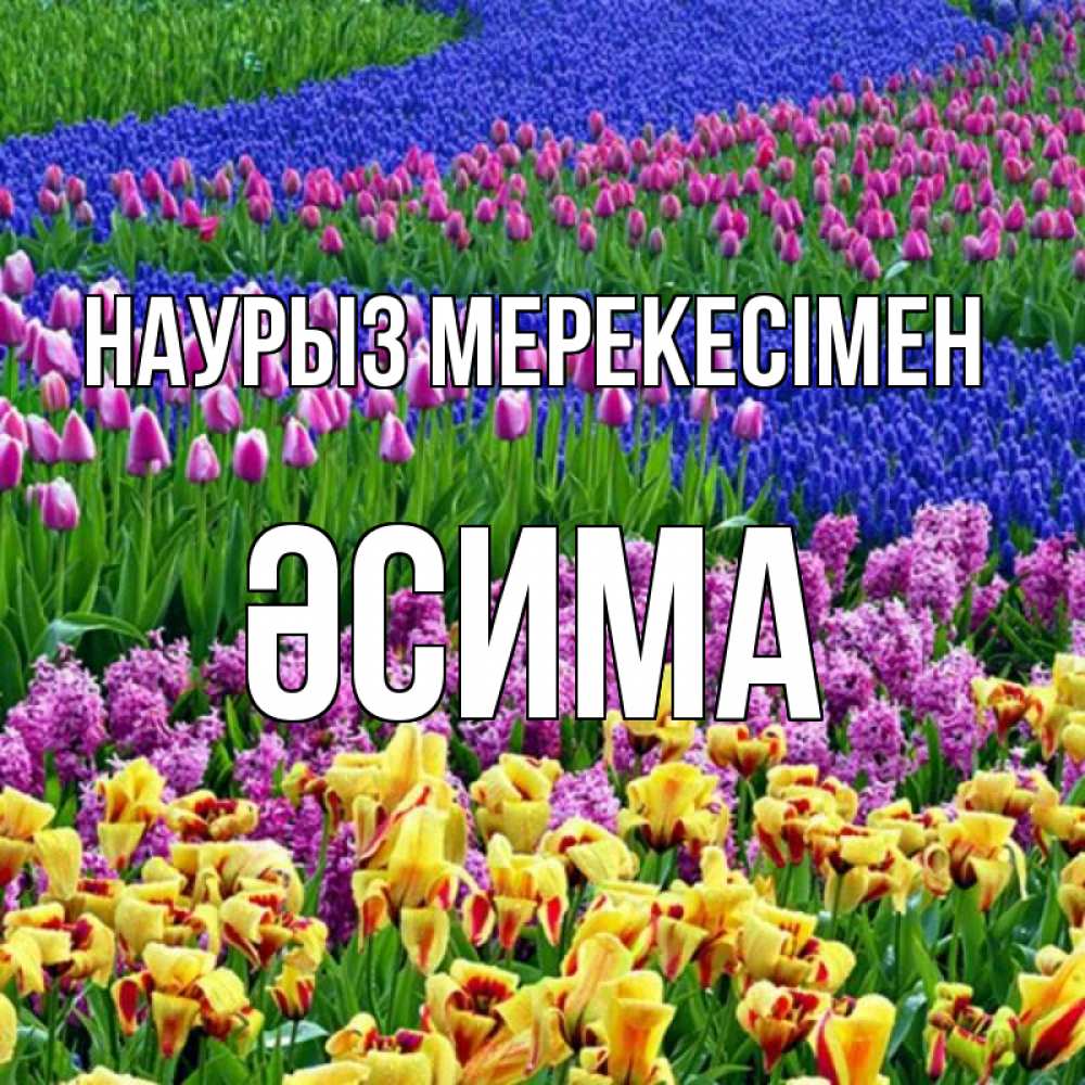 Күн сайын ашық хат с именем, ӘСИМА Наурыз мерекесімен цветы Онлайн тегін жүктеп алу тілектері бар керемет карта 