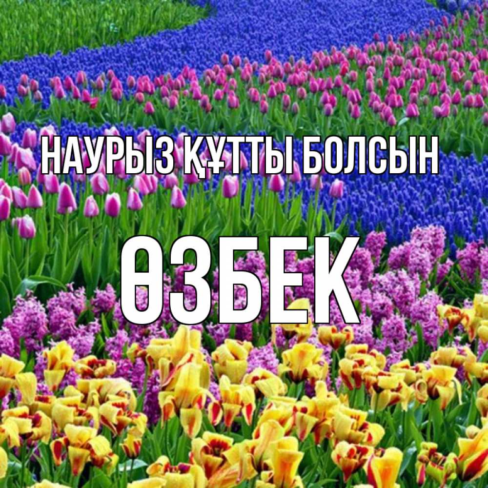 Күн сайын ашық хат с именем, ӨЗБЕК Наурыз құтты болсын цветы Онлайн тегін жүктеп алу тілектері бар керемет карта 