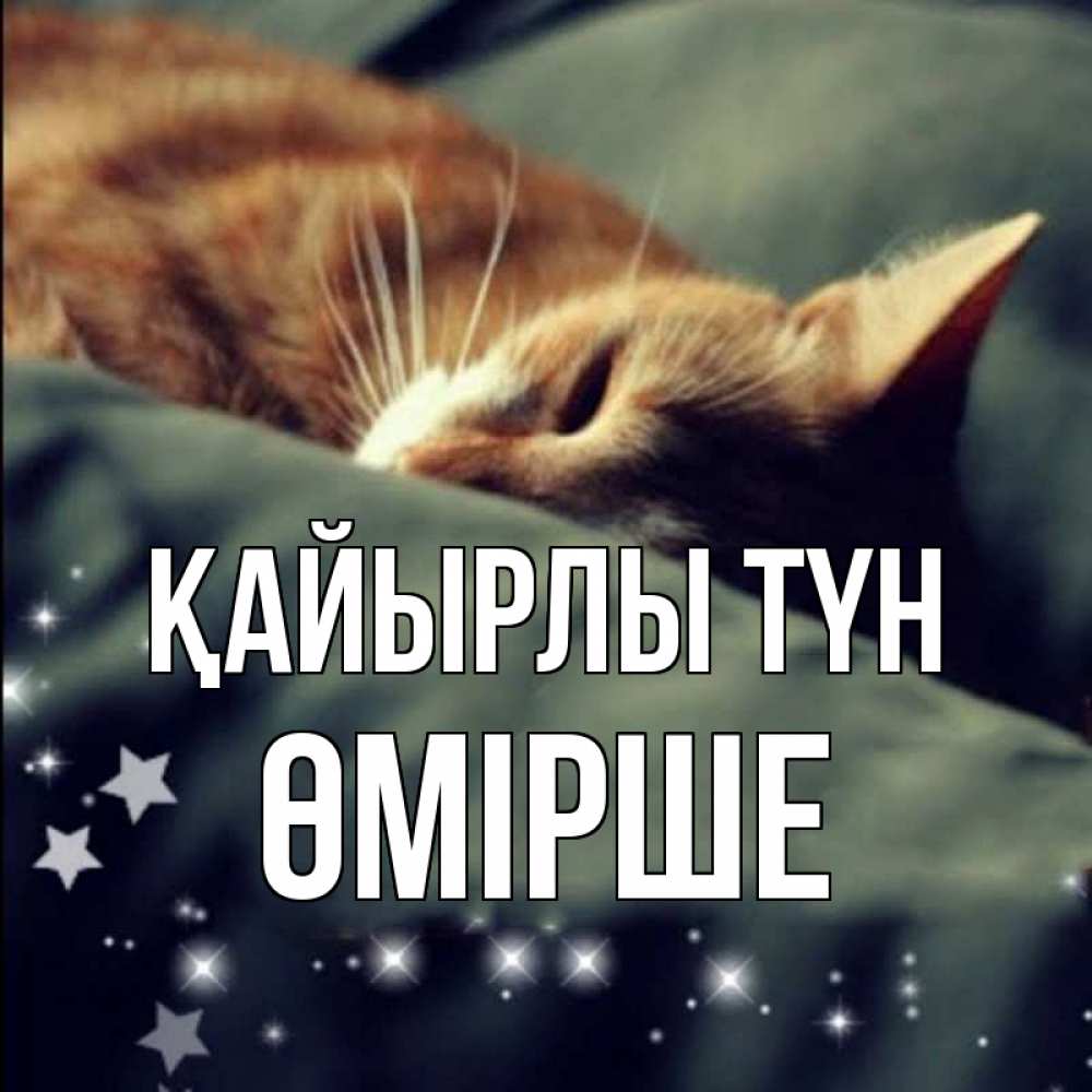 Күн сайын ашық хат с именем, ӨМІРШЕ Қайырлы түн кроватка Онлайн тегін жүктеп алу тілектері бар керемет карта 