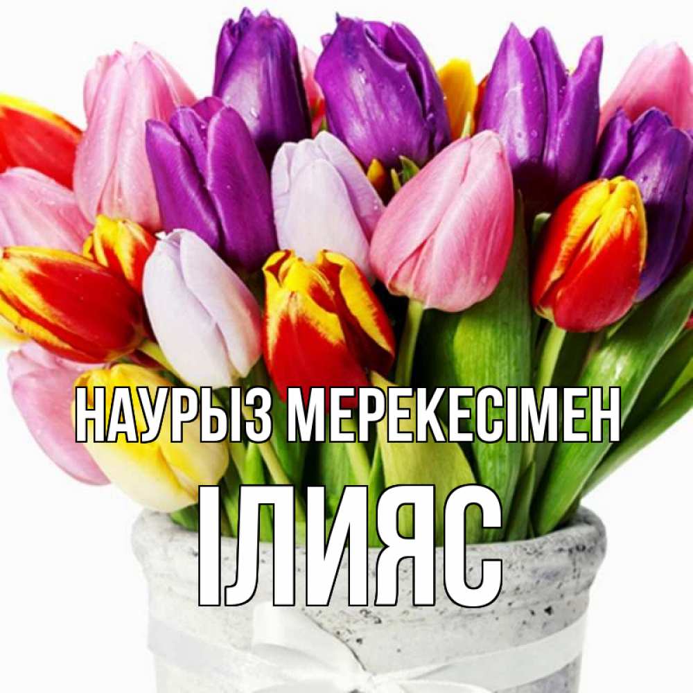 Күн сайын ашық хат с именем, ІЛИЯС Наурыз мерекесімен букет Онлайн тегін жүктеп алу тілектері бар керемет карта 