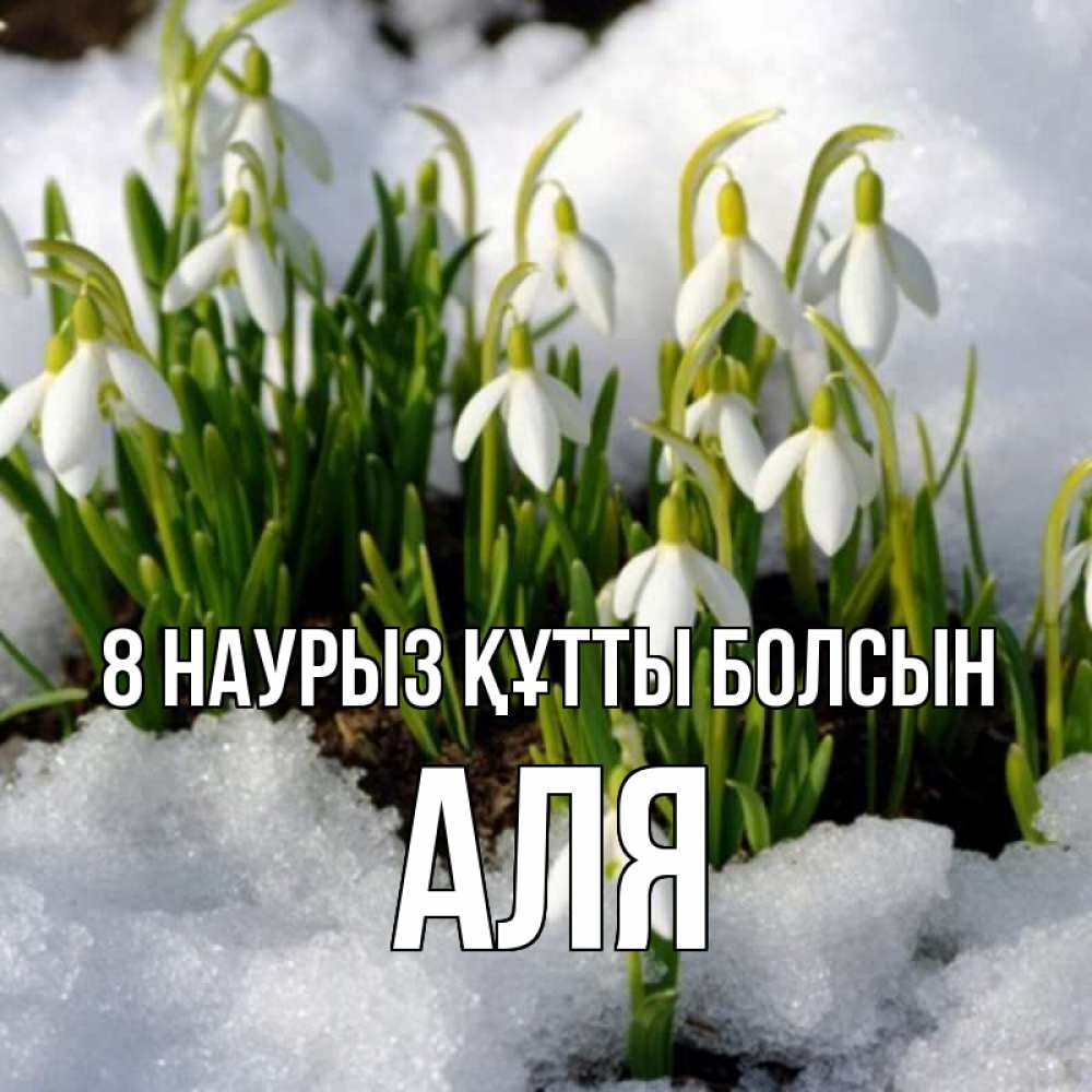 Күн сайын ашық хат с именем, Аля 8 наурыз құтты болсын цветы весенние Онлайн тегін жүктеп алу тілектері бар керемет карта 