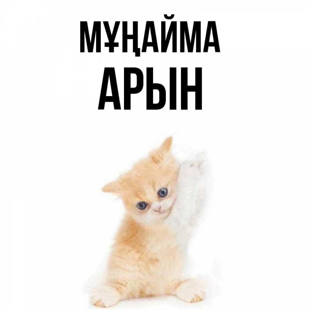 Күн сайын ашық хат с именем, Арын Мұңайма просящий кот Онлайн тегін жүктеп алу тілектері бар керемет карта 