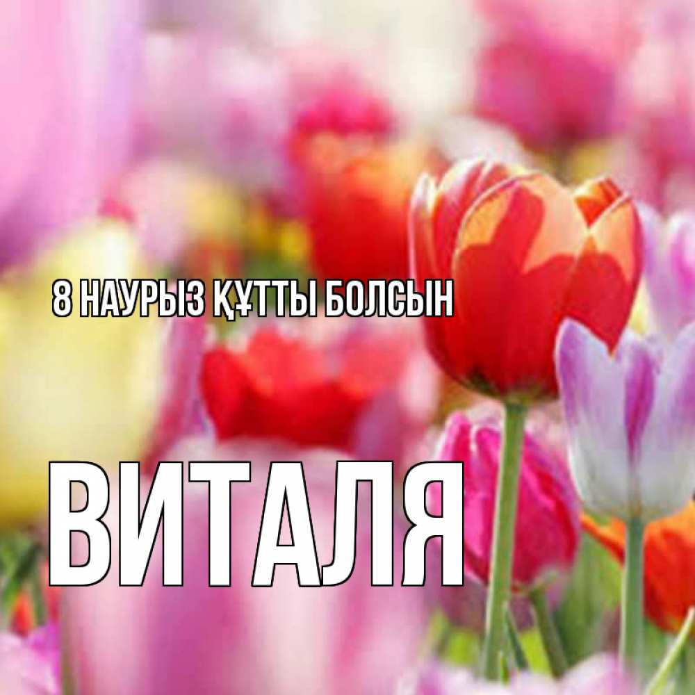 Күн сайын ашық хат с именем, Виталя 8 наурыз құтты болсын на международный женский день 2 Онлайн тегін жүктеп алу тілектері бар керемет карта 