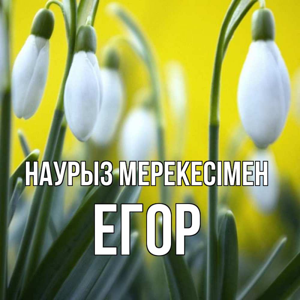 Күн сайын ашық хат с именем, Егор Наурыз мерекесімен весенние цветы Онлайн тегін жүктеп алу тілектері бар керемет карта 