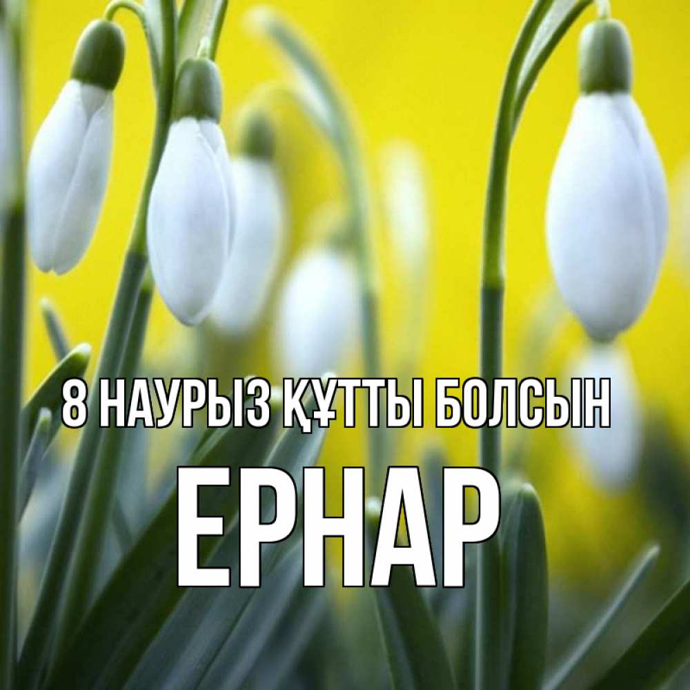 Күн сайын ашық хат с именем, Ернар 8 наурыз құтты болсын весенние цветы Онлайн тегін жүктеп алу тілектері бар керемет карта 