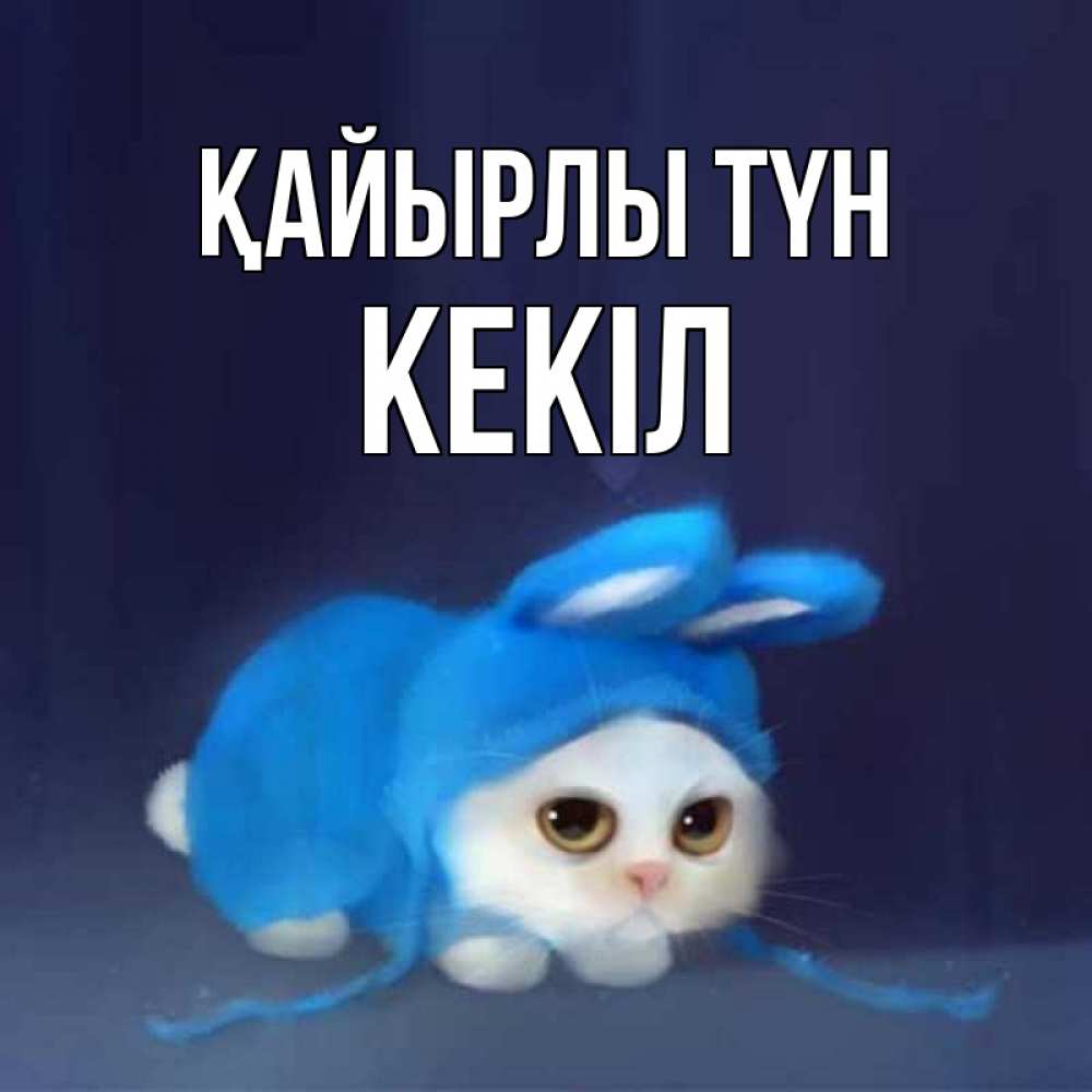 Күн сайын ашық хат с именем, Кекіл Қайырлы түн кот в голубом костюме кролика с ушками Онлайн тегін жүктеп алу тілектері бар керемет карта 