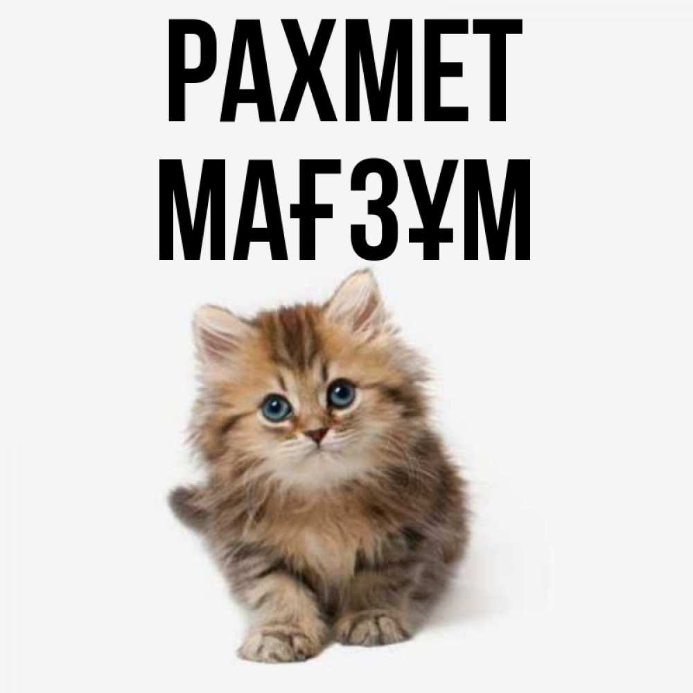 Күн сайын ашық хат с именем, МАҒЗҰМ рахмет пушистый котик Онлайн тегін жүктеп алу тілектері бар керемет карта 