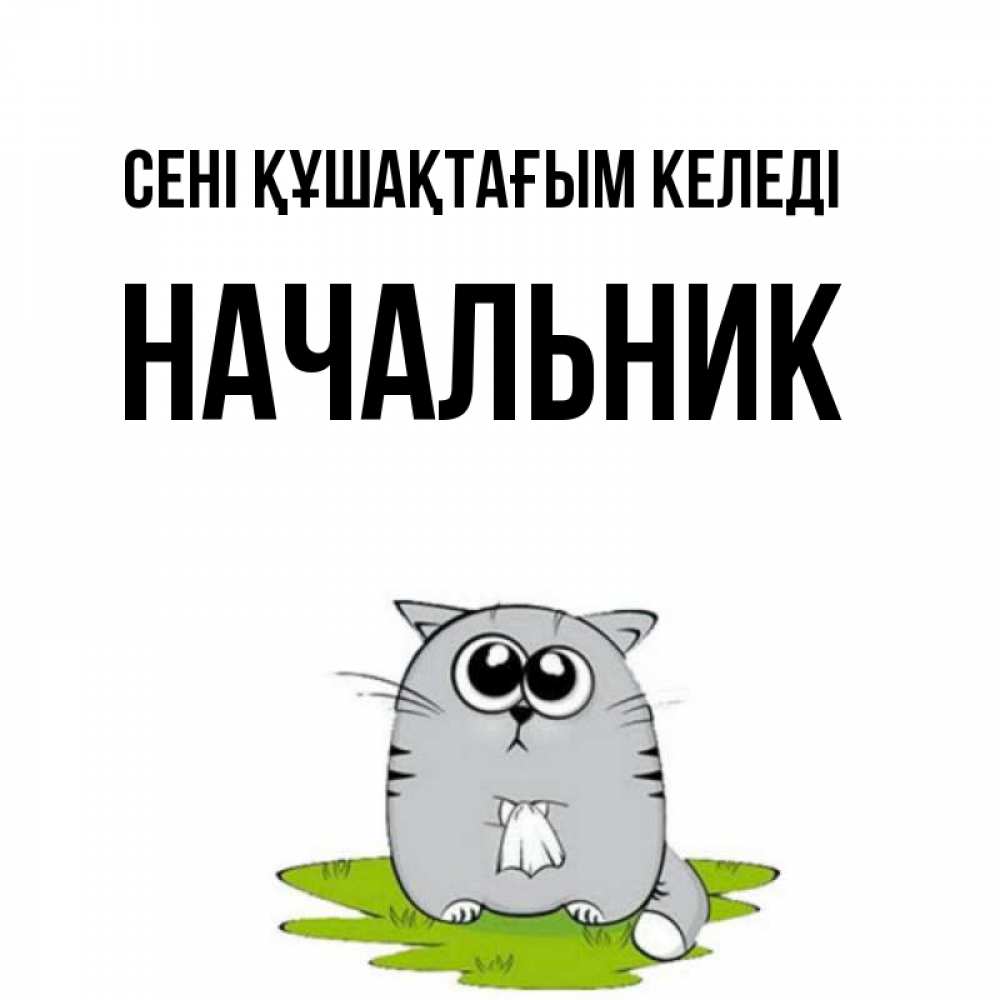 Күн сайын ашық хат с именем, Начальник сені құшақтағым келеді котик теребит платочек сидя на травке Онлайн тегін жүктеп алу тілектері бар керемет карта 
