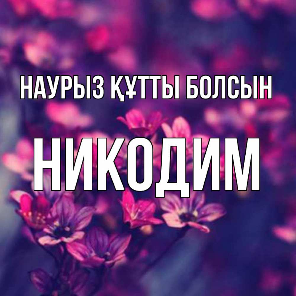 Күн сайын ашық хат с именем, Никодим Наурыз құтты болсын небольшие цветы 1 Онлайн тегін жүктеп алу тілектері бар керемет карта 