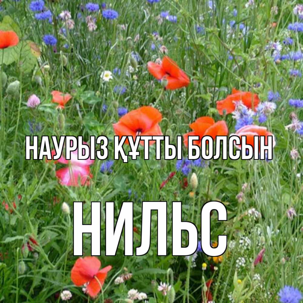 Күн сайын ашық хат с именем, Нильс Наурыз құтты болсын наурыз  4 Онлайн тегін жүктеп алу тілектері бар керемет карта 