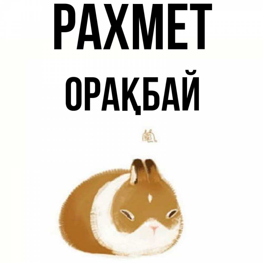 Күн сайын ашық хат с именем, ОРАҚБАЙ рахмет коричнево белый домашний питомец Онлайн тегін жүктеп алу тілектері бар керемет карта 