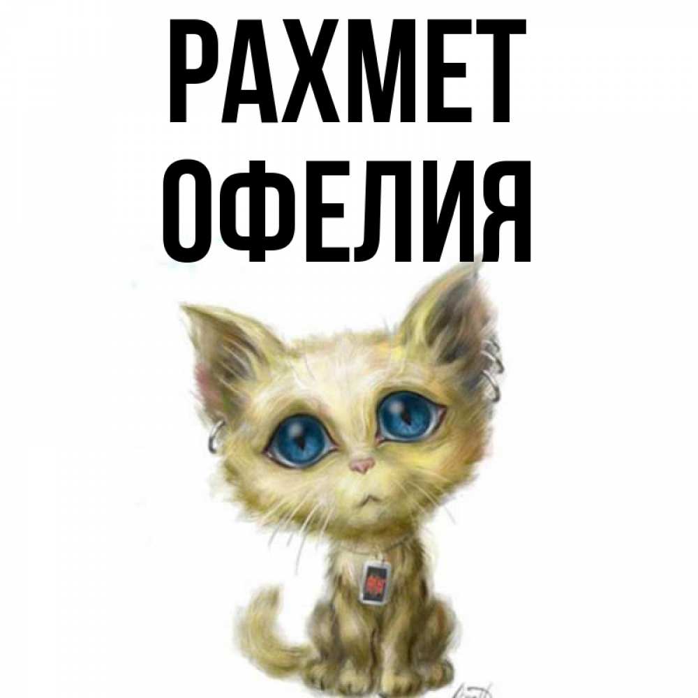 Күн сайын ашық хат с именем, Офелия рахмет рисованный кот благодарит вас Онлайн тегін жүктеп алу тілектері бар керемет карта 