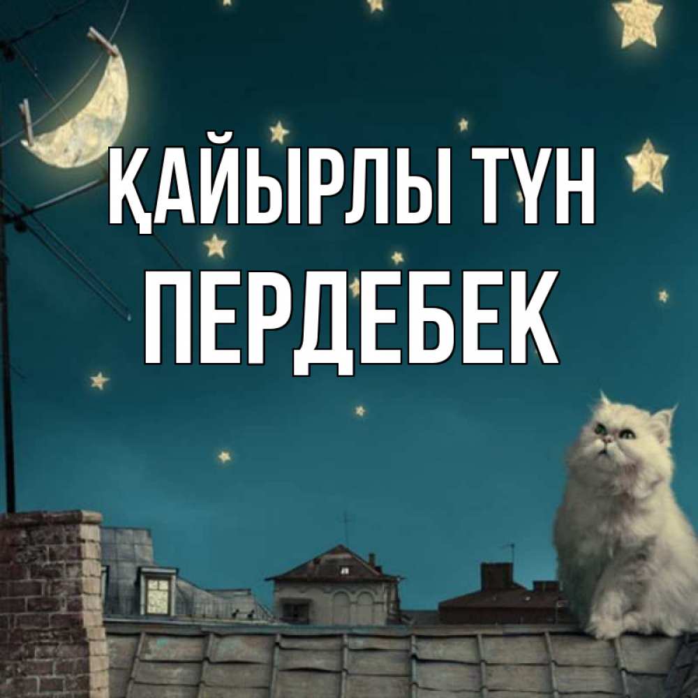 Күн сайын ашық хат с именем, ПЕРДЕБЕК Қайырлы түн белый кот сидит на крыше Онлайн тегін жүктеп алу тілектері бар керемет карта 