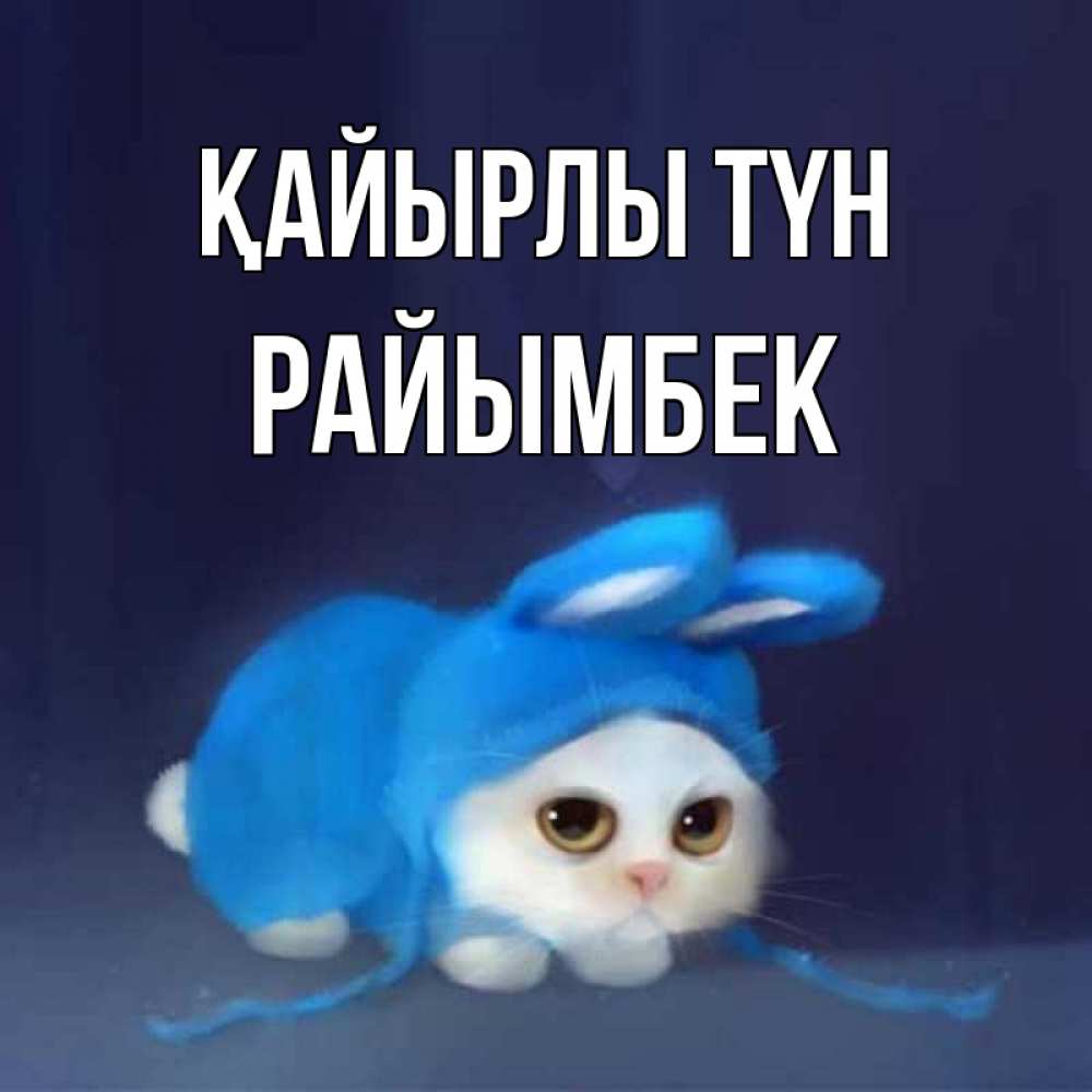 Күн сайын ашық хат с именем, РАЙЫМБЕК Қайырлы түн кот в голубом костюме кролика с ушками Онлайн тегін жүктеп алу тілектері бар керемет карта 
