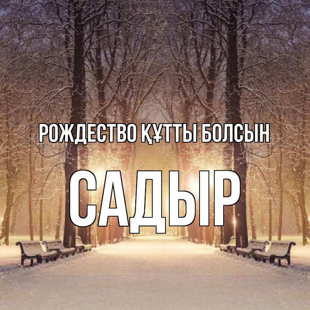 Күн сайын ашық хат с именем, САДЫР Рождество құтты болсын зима, парк, фонарь, лес Онлайн тегін жүктеп алу тілектері бар керемет карта 