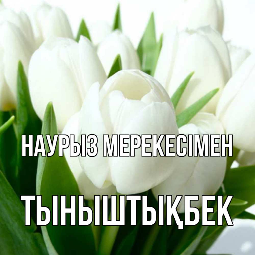 Күн сайын ашық хат с именем, ТЫНЫШТЫҚБЕК Наурыз мерекесімен цветы Онлайн тегін жүктеп алу тілектері бар керемет карта 