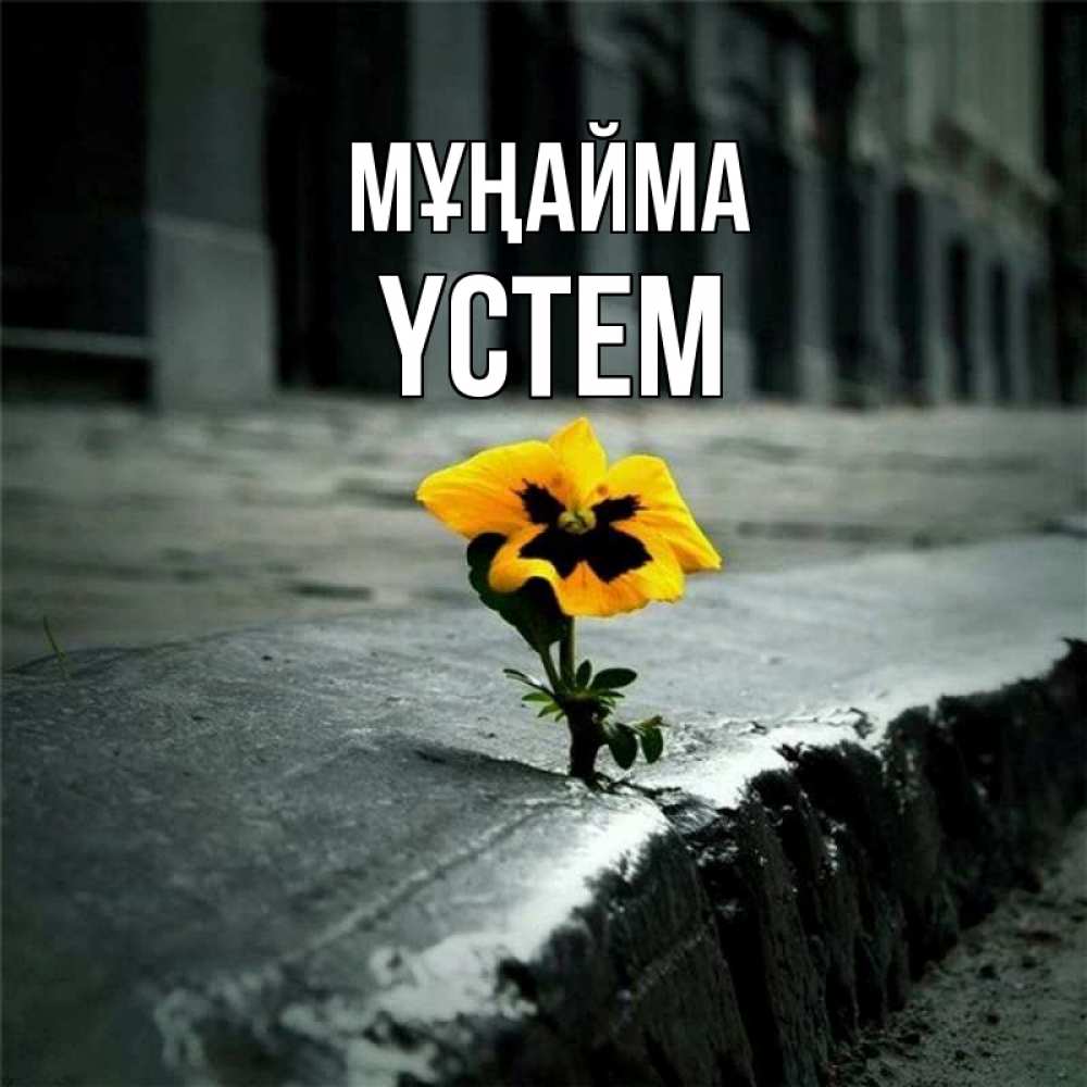 Күн сайын ашық хат с именем, ҮСТЕМ Мұңайма не сдавайся Онлайн тегін жүктеп алу тілектері бар керемет карта 
