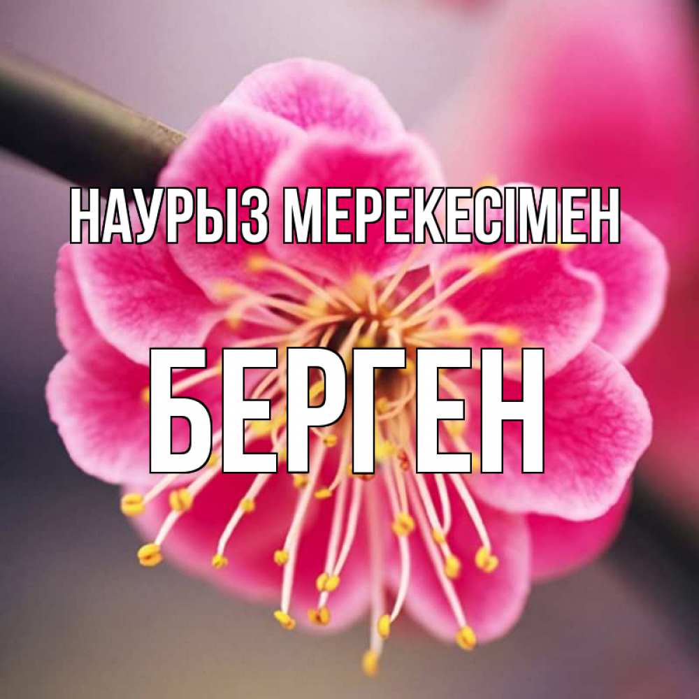 Күн сайын ашық хат с именем, Берген Наурыз мерекесімен цветы Онлайн тегін жүктеп алу тілектері бар керемет карта 