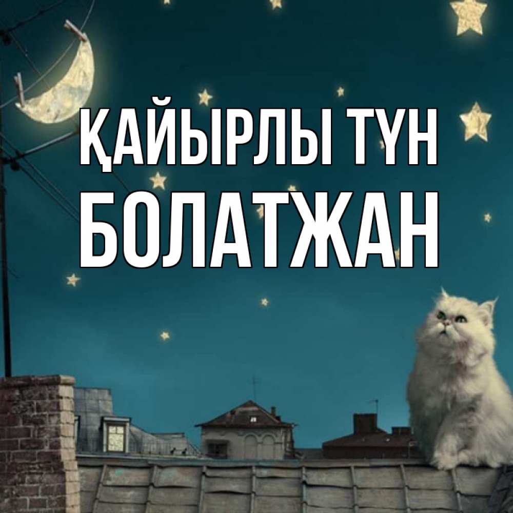Күн сайын ашық хат с именем, Болатжан Қайырлы түн белый кот сидит на крыше Онлайн тегін жүктеп алу тілектері бар керемет карта 
