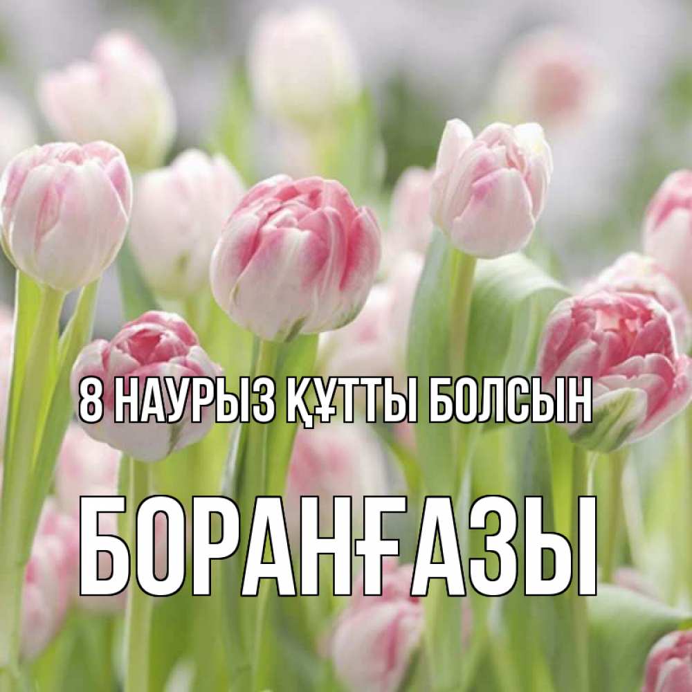 Күн сайын ашық хат с именем, Боранғазы 8 наурыз құтты болсын цветы Онлайн тегін жүктеп алу тілектері бар керемет карта 