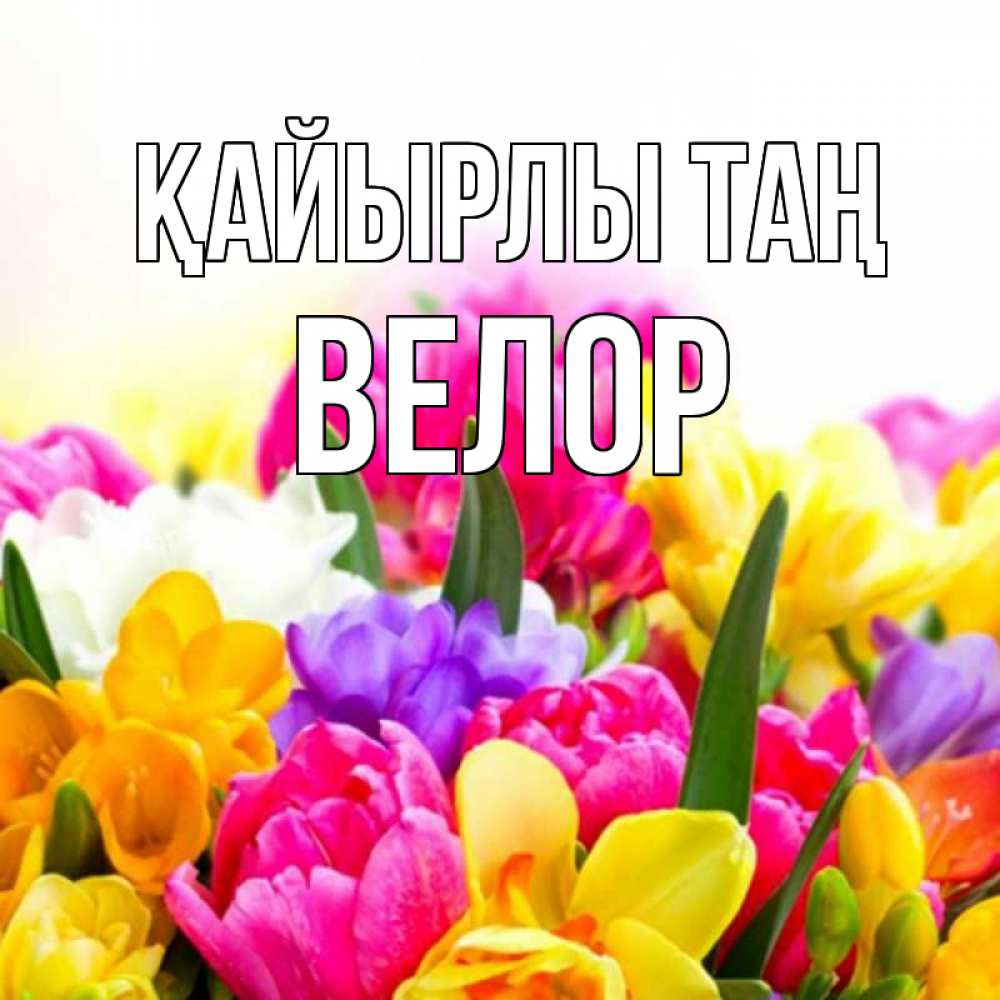 Күн сайын ашық хат с именем, Велор Қайырлы таң создать открытку со свое подписью Онлайн тегін жүктеп алу тілектері бар керемет карта 