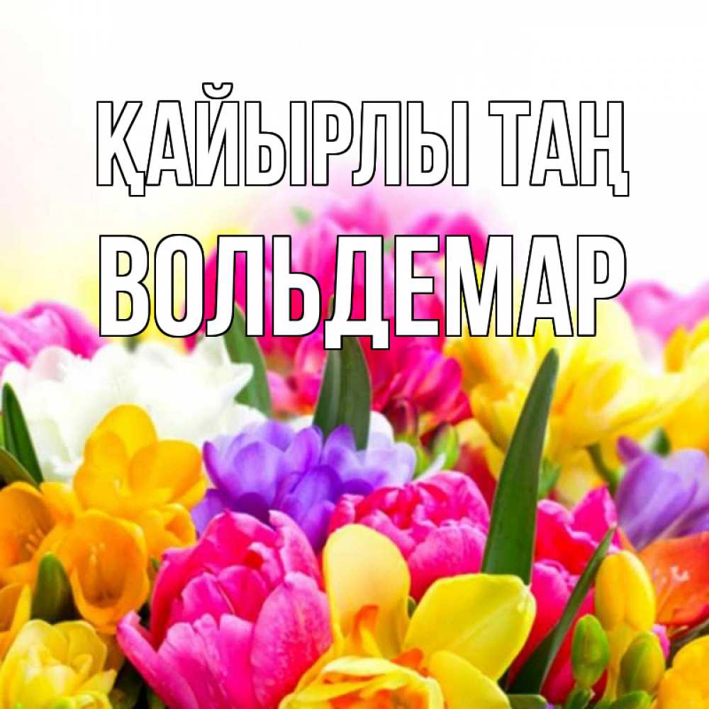 Күн сайын ашық хат с именем, Вольдемар Қайырлы таң создать открытку со свое подписью Онлайн тегін жүктеп алу тілектері бар керемет карта 