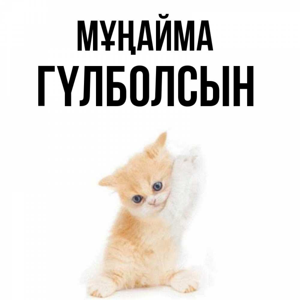 Күн сайын ашық хат с именем, ГҮЛБОЛСЫН Мұңайма просящий кот Онлайн тегін жүктеп алу тілектері бар керемет карта 