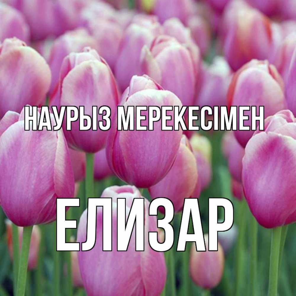 Күн сайын ашық хат с именем, Елизар Наурыз мерекесімен праздник весны наурыз 69 Онлайн тегін жүктеп алу тілектері бар керемет карта 