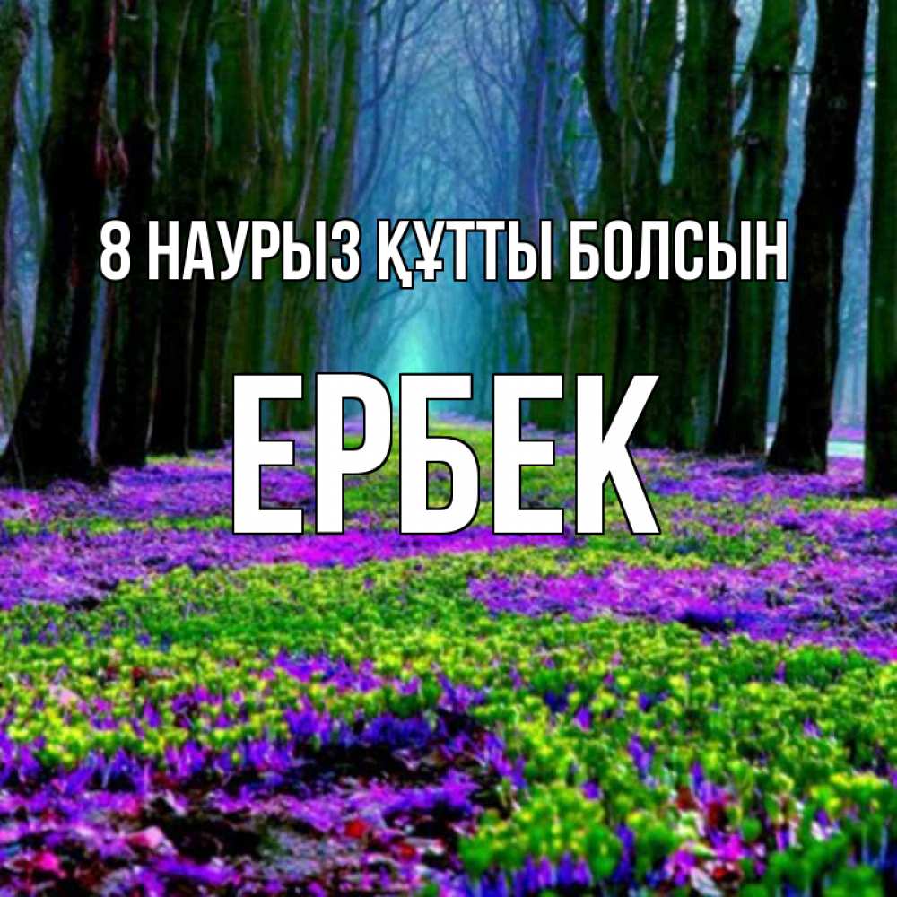 Күн сайын ашық хат с именем, Ербек 8 наурыз құтты болсын фиолетовые цветы в лесу 1 Онлайн тегін жүктеп алу тілектері бар керемет карта 