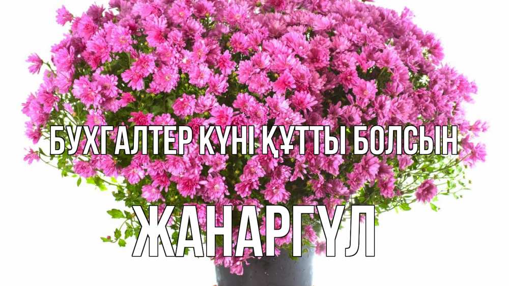 Күн сайын ашық хат с именем, ЖАНАРГҮЛ бухгалтер күні құтты болсын с днем бухгалтера Онлайн тегін жүктеп алу тілектері бар керемет карта 