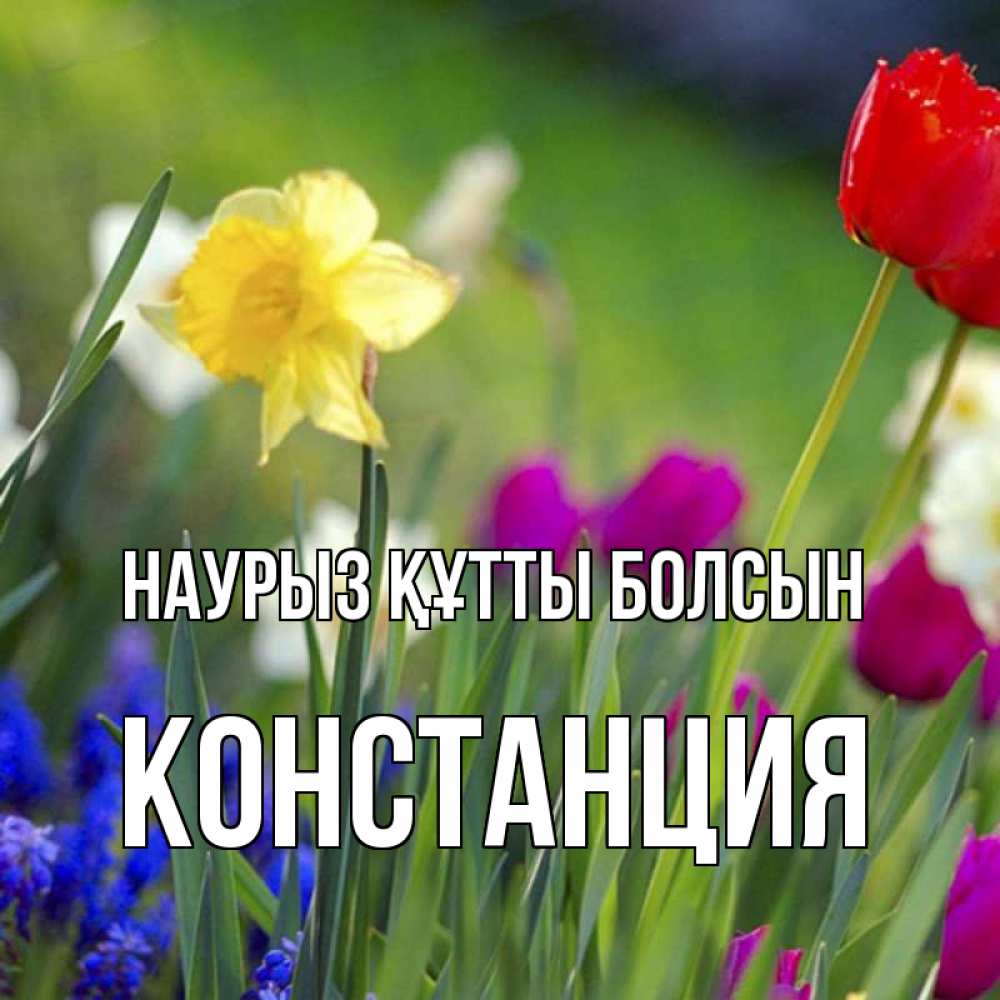 Күн сайын ашық хат с именем, Констанция Наурыз құтты болсын наурыз  3 открытки Онлайн тегін жүктеп алу тілектері бар керемет карта 