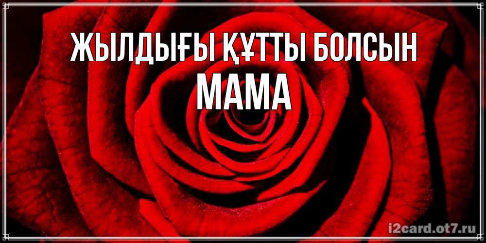 Күн сайын ашық хат с именем, Мама Жылдығы құтты болсын алая роза Онлайн тегін жүктеп алу тілектері бар керемет карта 