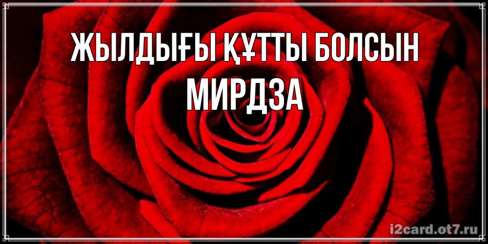 Күн сайын ашық хат с именем, Мирдза Жылдығы құтты болсын алая роза Онлайн тегін жүктеп алу тілектері бар керемет карта 