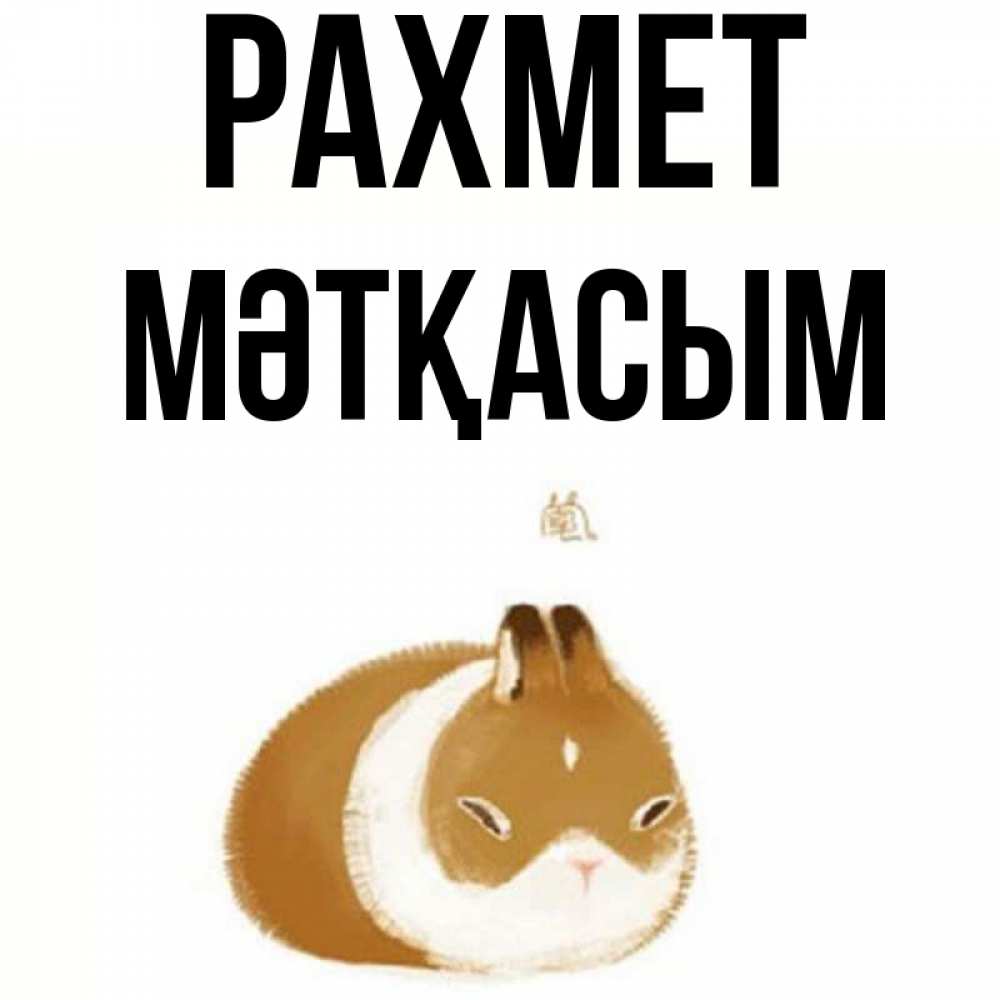 Күн сайын ашық хат с именем, МӘТҚАСЫМ рахмет коричнево белый домашний питомец Онлайн тегін жүктеп алу тілектері бар керемет карта 