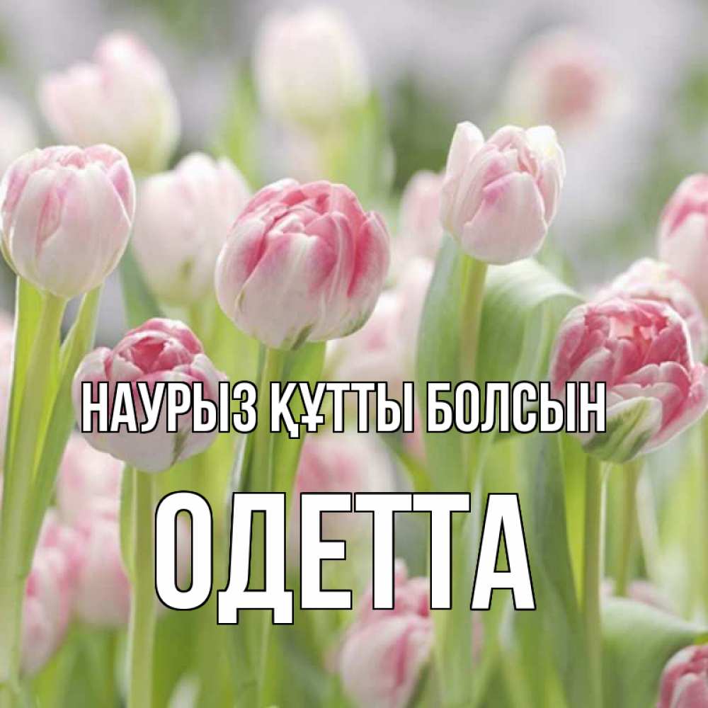 Күн сайын ашық хат с именем, Одетта Наурыз құтты болсын цветы Онлайн тегін жүктеп алу тілектері бар керемет карта 