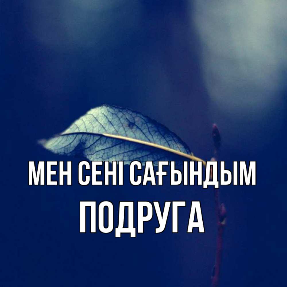 Күн сайын ашық хат с именем, Подруга Мен сені сағындым одна ветка 1 Онлайн тегін жүктеп алу тілектері бар керемет карта 