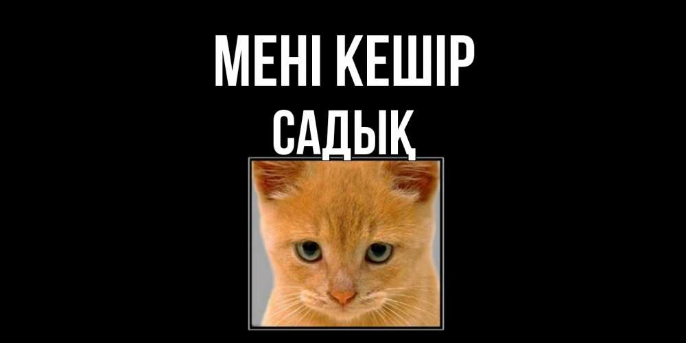 Күн сайын ашық хат с именем, САДЫҚ Мені кешір рыжий грустный кот просит прощения Онлайн тегін жүктеп алу тілектері бар керемет карта 