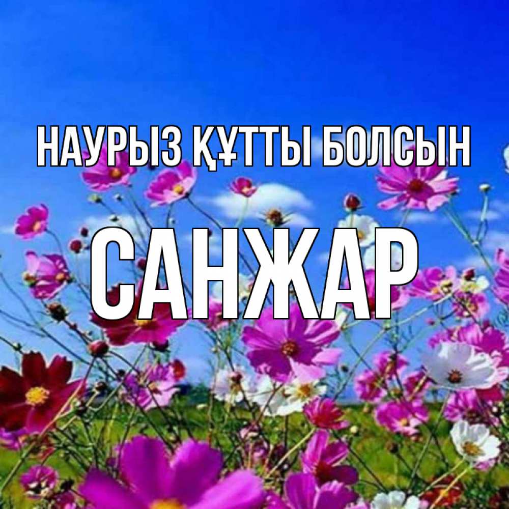 Күн сайын ашық хат с именем, САНЖАР Наурыз құтты болсын цветы Онлайн тегін жүктеп алу тілектері бар керемет карта 
