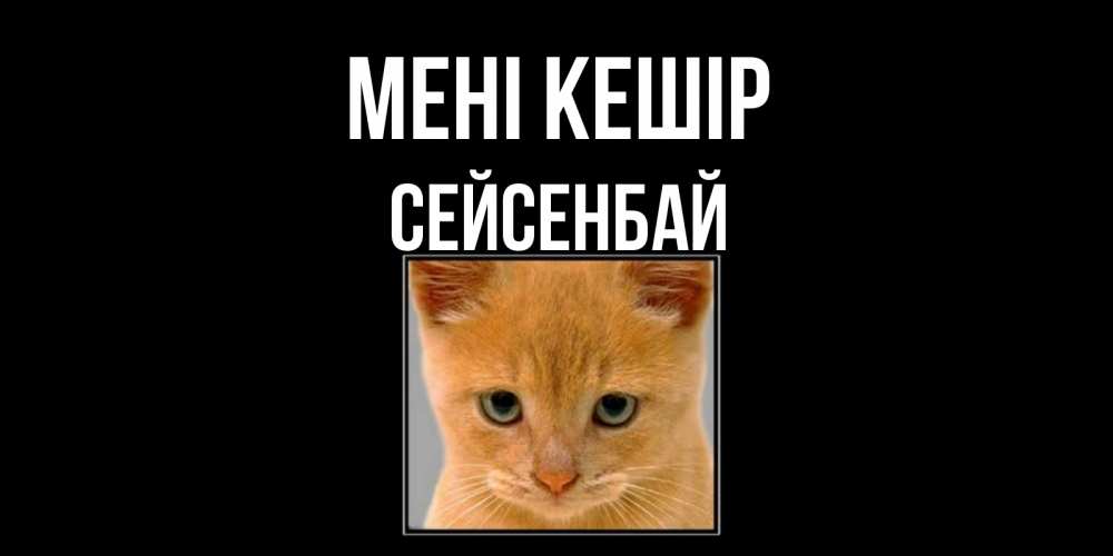 Күн сайын ашық хат с именем, СЕЙСЕНБАЙ Мені кешір рыжий грустный кот просит прощения Онлайн тегін жүктеп алу тілектері бар керемет карта 