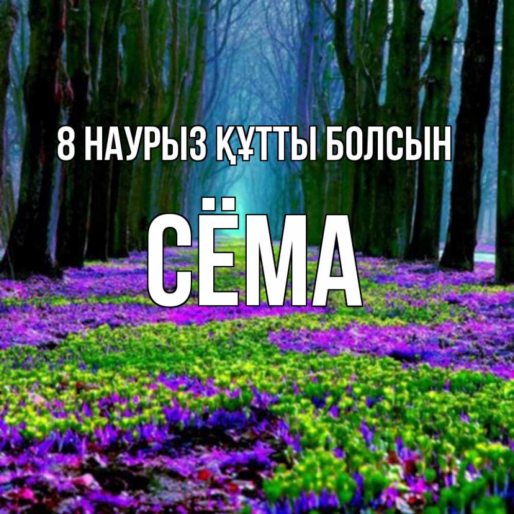 Күн сайын ашық хат с именем, Сёма 8 наурыз құтты болсын фиолетовые цветы в лесу 1 Онлайн тегін жүктеп алу тілектері бар керемет карта 